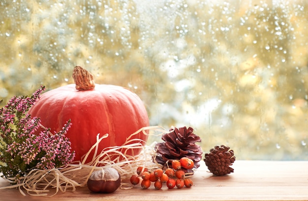 Autumn with pumpkin, cones and berries, text space