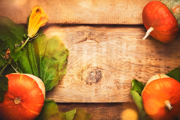 Photo autumn wooden background with pumpkins top view toned image with copy space