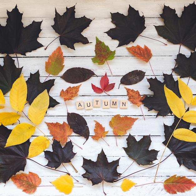 AUTUMN word and leaves on a wooden board