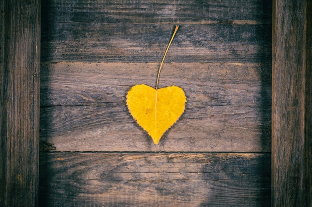 Autumn yellow leaf in the form of heart on the wooden background