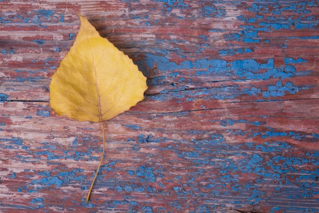 Autumn Yellow leaf on wooden background