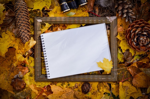 Foto foglie di autunno giallo, spazio di sfondo per il testo