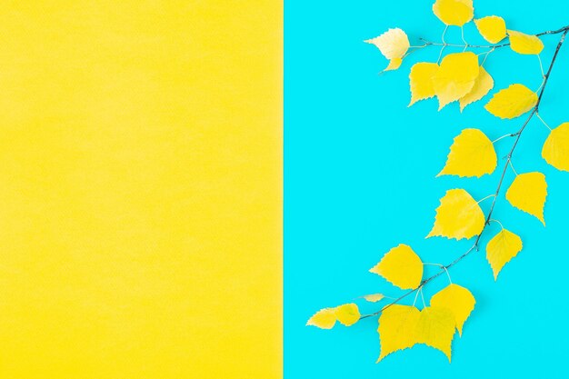 Autumn yellow leaves on blue background