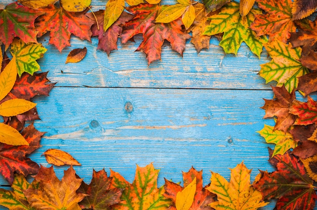 Foglie di autunno giallo su legno vecchio blu.