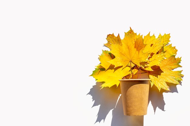 Autumn yellow maple leaves in brown craft paper glass, vase with dark shadow isolated on white background, copy space.