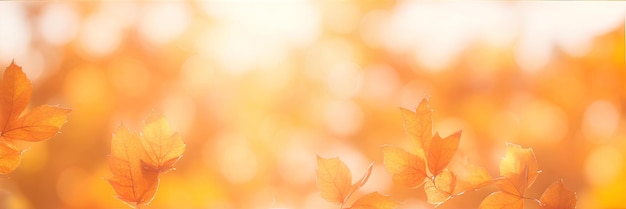 秋の黄色オレンジ色の背景に葉、ボケ味 AI