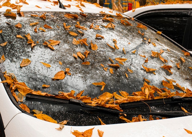 Autumn yellow and orange leaves lie on a car Windshield in raindrops Autumn cloudy weather Reflection in the glass