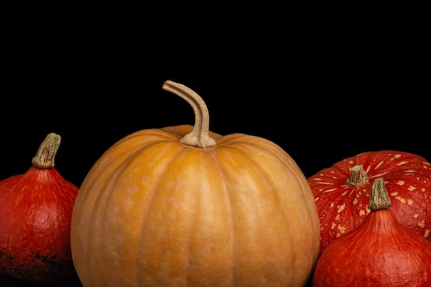 Autumn yellow and orange pumpkins on a black background