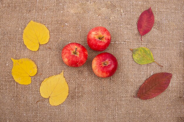 果実フルーツナッツの秋の黄色と赤の葉が落ちる。