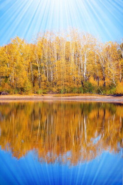 写真 晴れた日の湖の秋の黄色い木々の反射