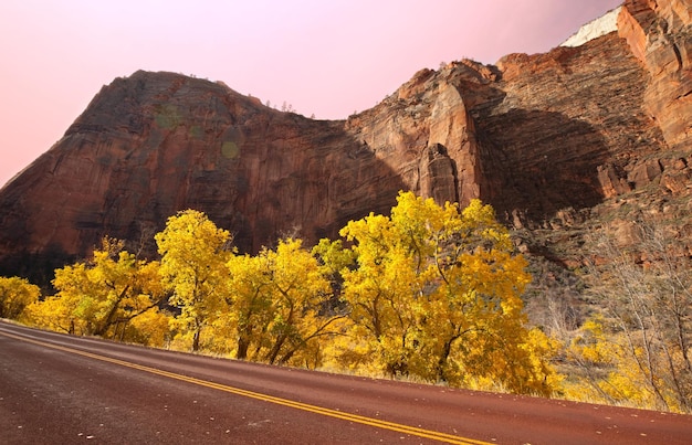 Autumn in Zion