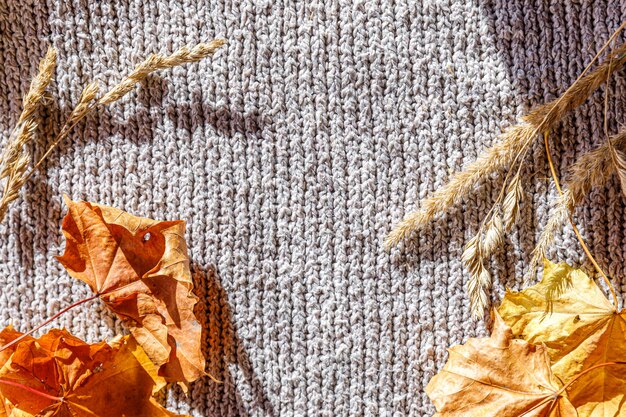 Autumnal Background. Dried orange fall leaves and plants lying on white knitted sweater. Top view flat lay copy space. Thanksgiving banner. Hygge mood cold weather concept. Hello Autumn.