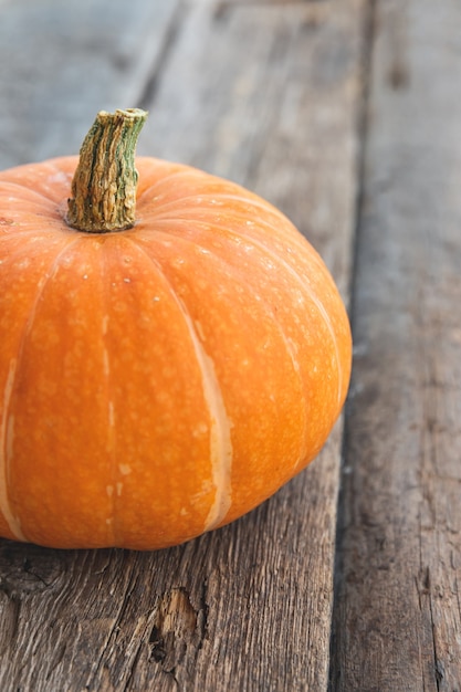 Autumnal Background. Natural autumn fall view pumpkin on wooden background. Inspirational october or september wallpaper. Change of seasons ripe organic food concept. Halloween party Thanksgiving day