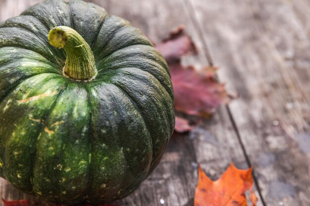 Autumnal background natural autumn fall view pumpkin on wooden background inspirational october or