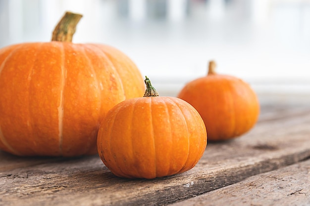 Autumnal background natural autumn fall view pumpkins on wooden background inspirational october or