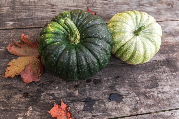 Autumnal background natural autumn fall view pumpkins on wooden background inspirational october or