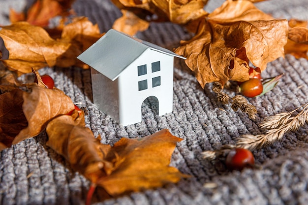 Autumnal background toy house and dried orange fall maple leaves on grey knitted sweater thanksgivin