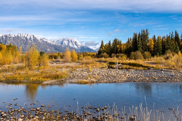 Autumnal Colours in the Grand Teton National Park