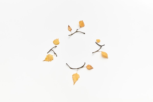 Autumnal composition with twigs and yellow leaves isolated on white, top view