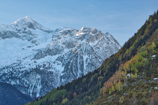 Autumnal contrast between colors and snow.