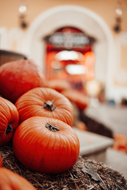 Autumnal display row of big orange pumpkins on bales of hay at all hallows eve in october Fall pumpkins for halloween preparation and thanksgiving day at town market