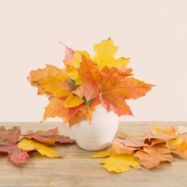 Autumnal leaves in white vase on white wall