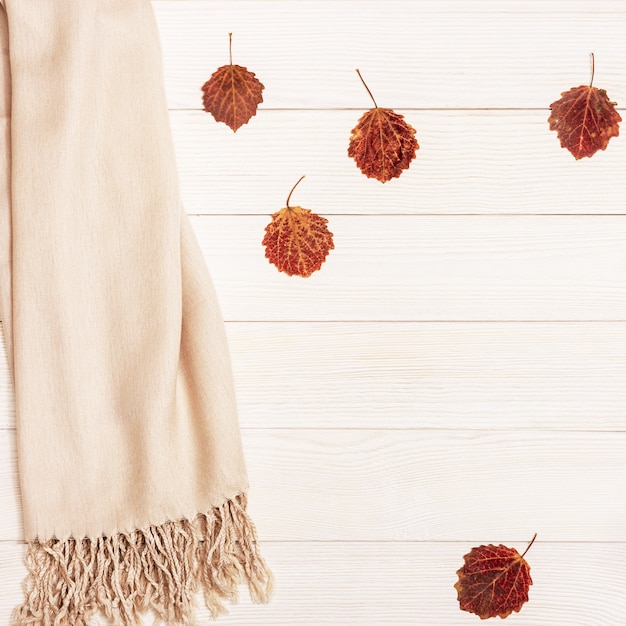 Autumnal season leaves of aspen tree near cozy textile scarf