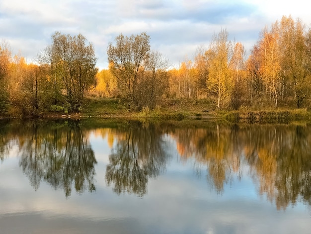 Il giallo autunnale delle foglie degli alberi riflette lo specchio nell'acqua del lago