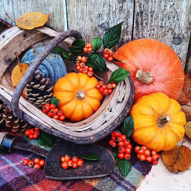 Photo autumnfall still life pumpkins