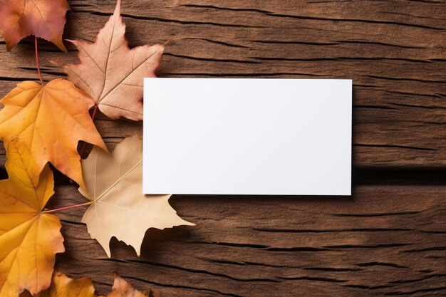 Autumninspired minimalist business cards white elegance meets vibrant foliage