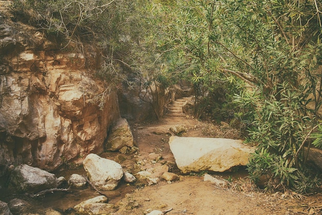 The Avakas canyon