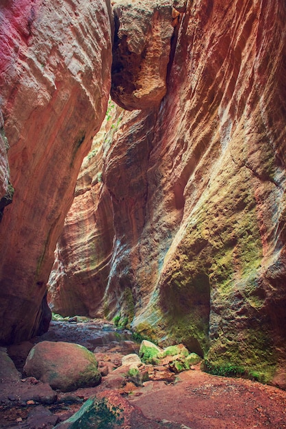 The Avakas canyon