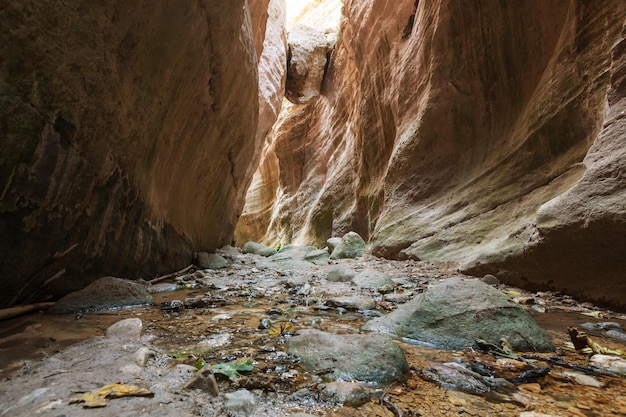 Avakas-kloof. Paphos, Cyprus