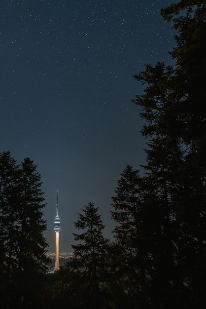 Photo avala tower between huge pine tree forest avala belgrade serbia europe