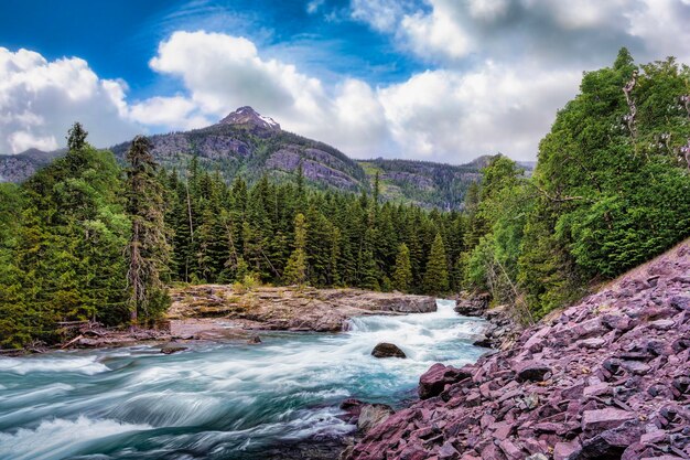 Avalanche Creek in Glacier National Park Montana