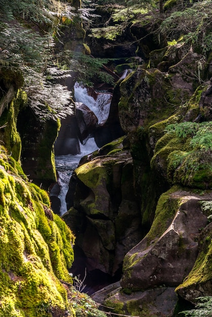 Avalanche Creek