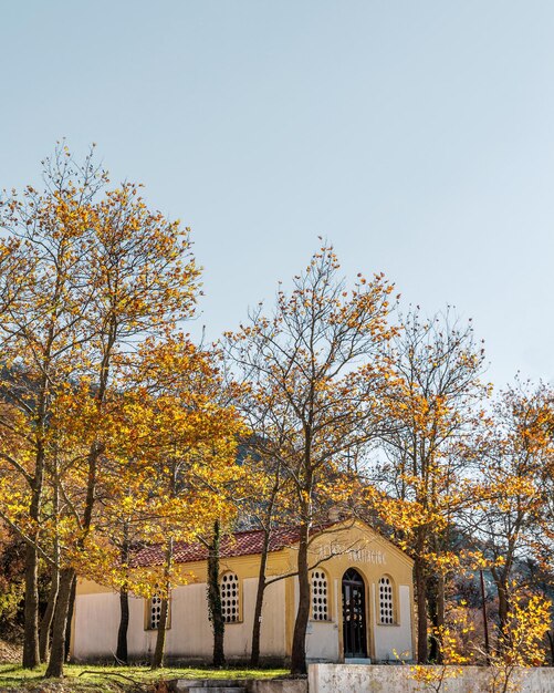 그리스 에브로스 지방의 아반타스 마을 아름다운 가을 색