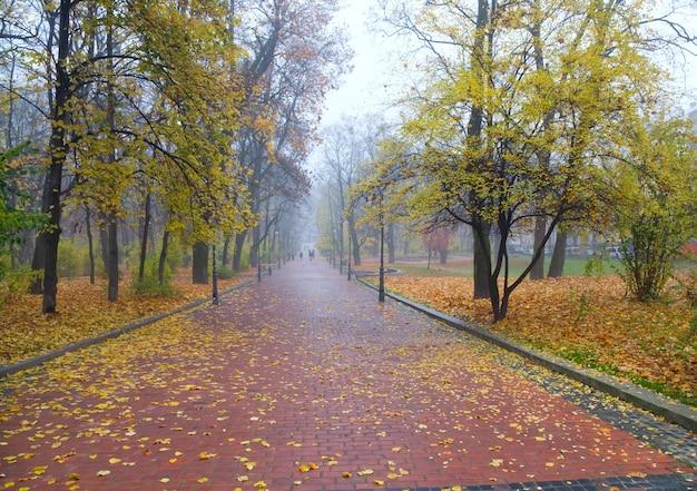 Проспект в осеннем скучном городском парке