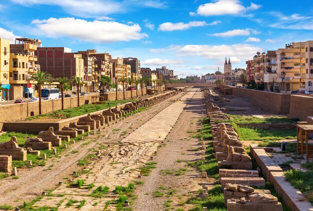 Avenue of Sphinxes tussen Karnak en Luxor Tempels Egypte