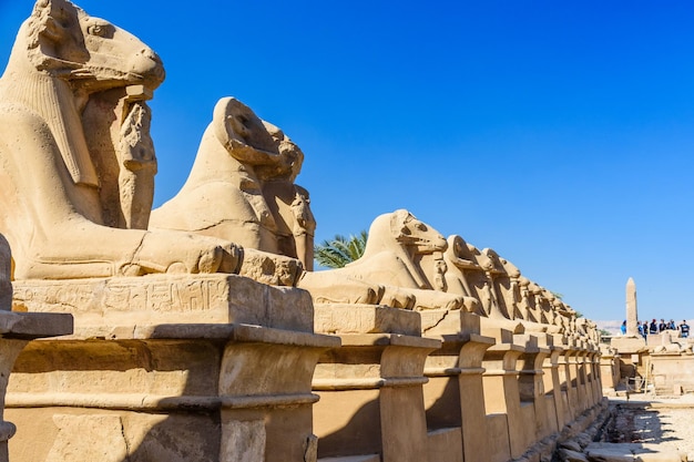 Avenue of the ramheaded Sphinxes in a Karnak Temple Luxor Egypt