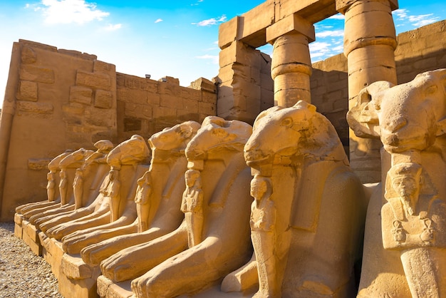 Avenue of Sphinxes in Karnak temple at sunrise, Egypt