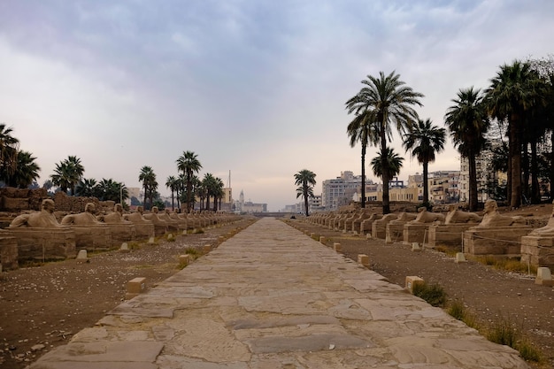 Foto avenue al tempio di karnak a luxor in egitto