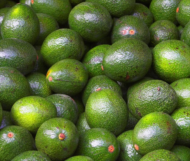 Avocado close-up