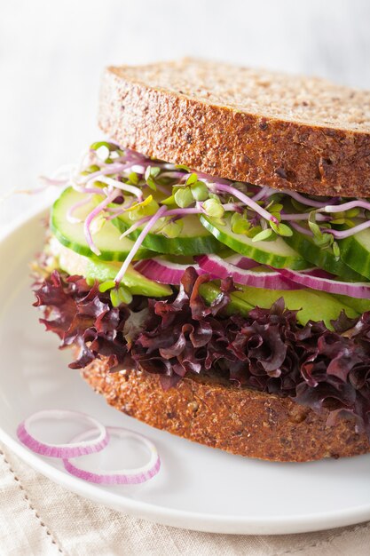 Avocado cucumber sandwich with onion and radish sprouts