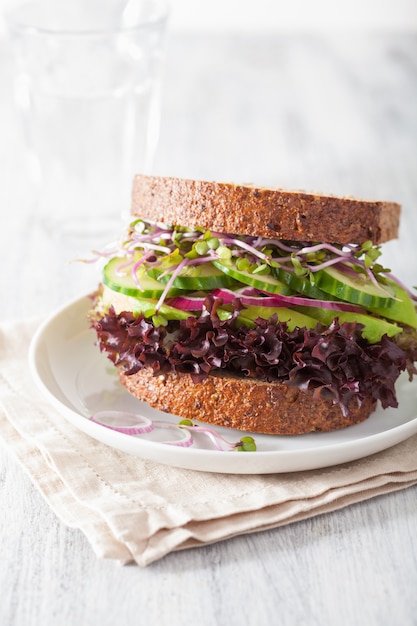 Avocado cucumber sandwich with onion and radish sprouts