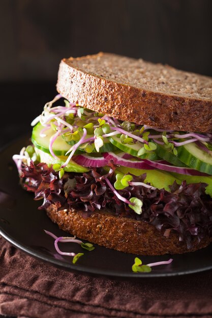 Avocado cucumber sandwich with onion and radish sprouts