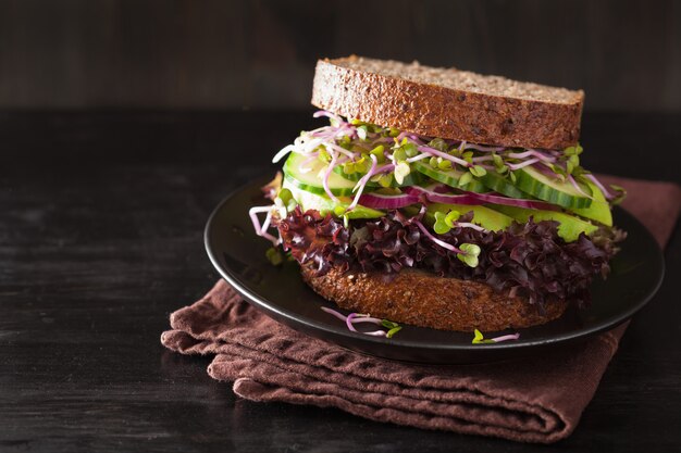 Avocado cucumber sandwich with onion and radish sprouts