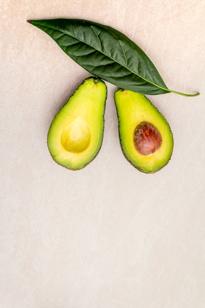 Avocado, cut in half, with a bone and avocado leaf