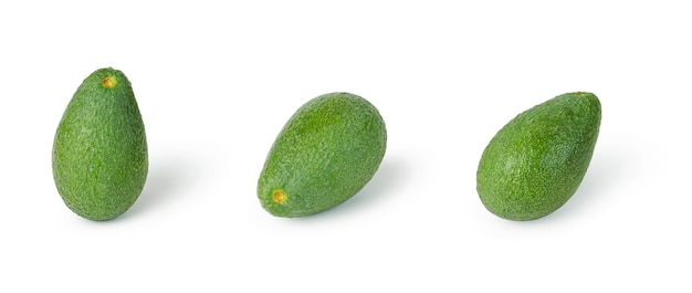 Avocado ettinger on white isolated background