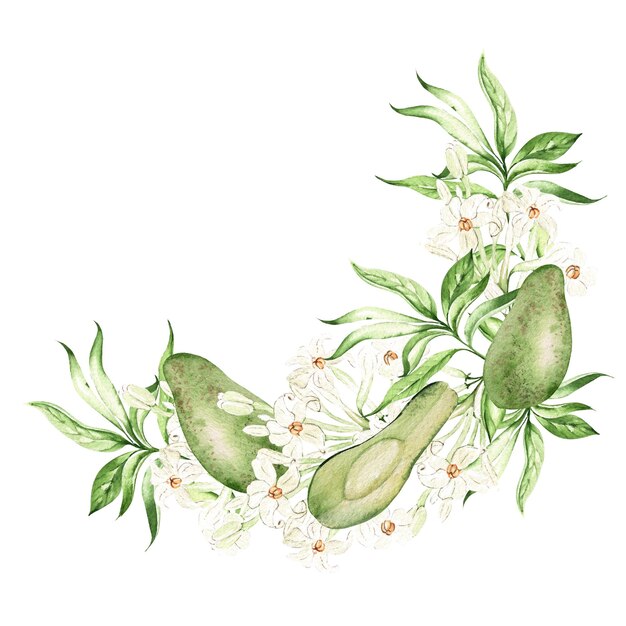 Avocado fruit en tropische bladeren krans op witte achtergrond aquarel illustratie